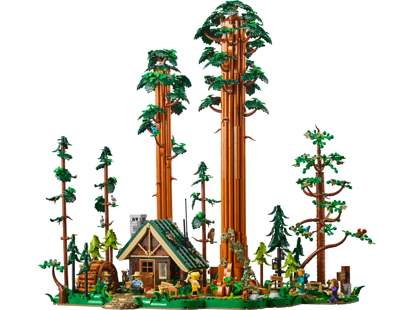Sequoia Tree Trail LEGO 910058