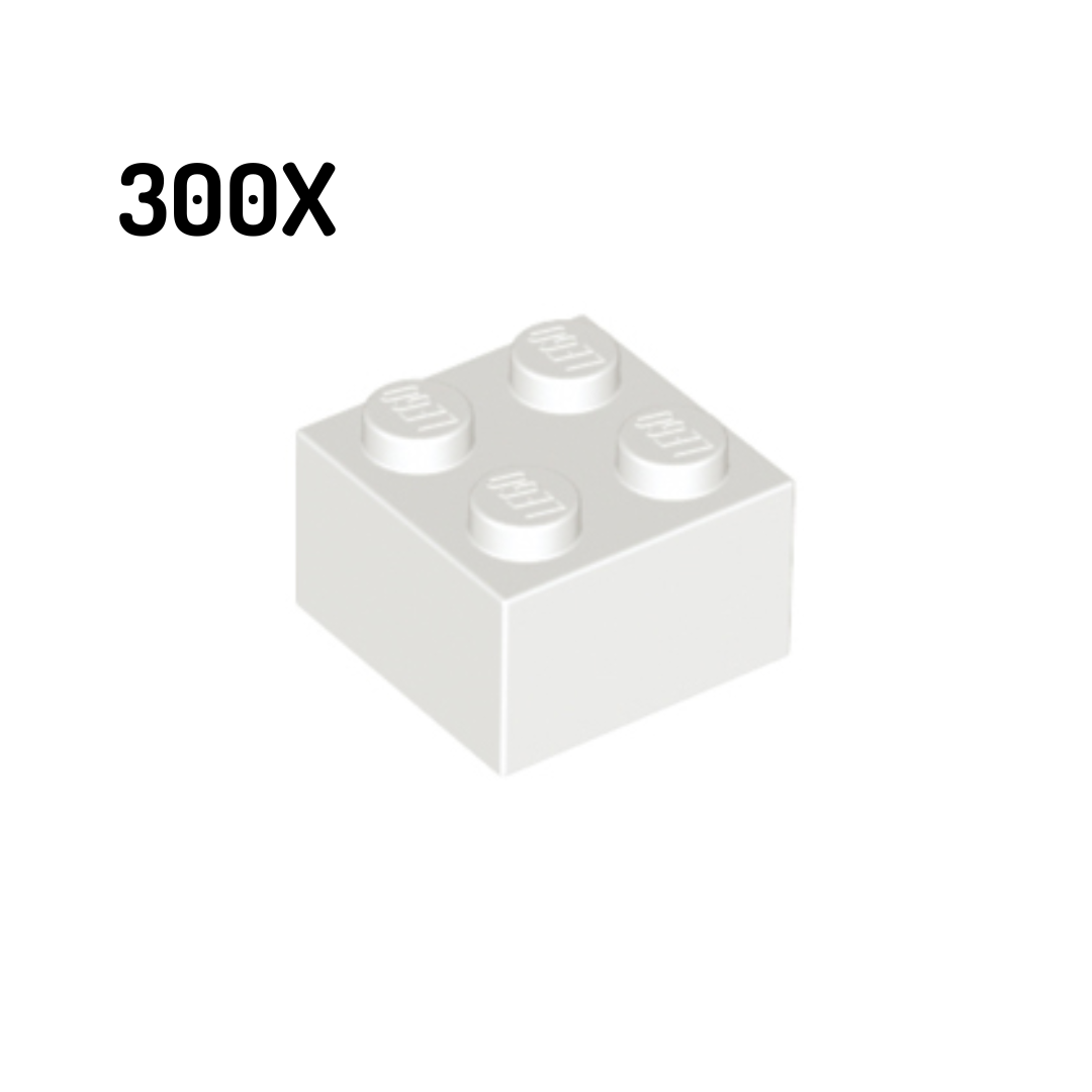3003 | Brick 2 x 4 300pcs