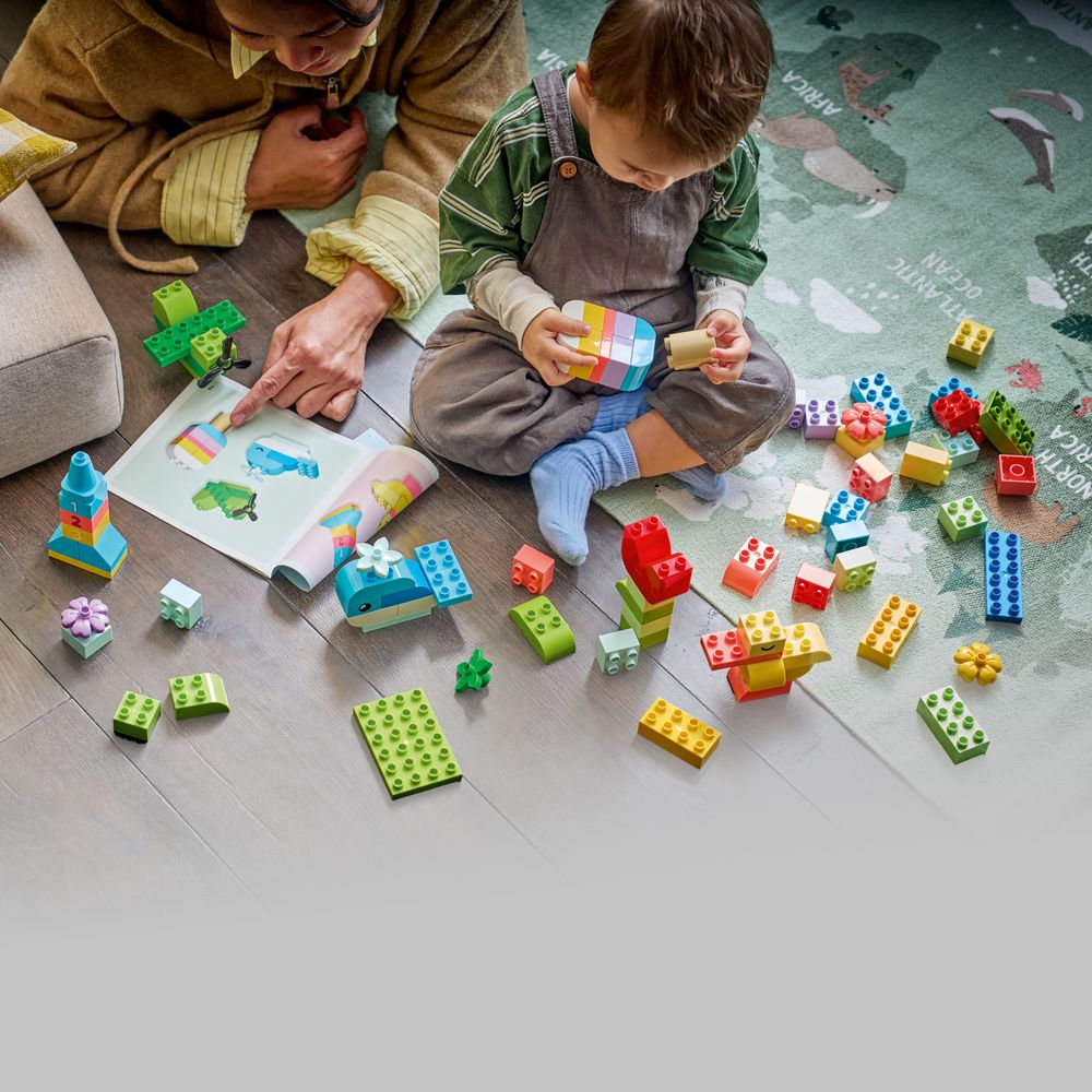 Colorful Creative Box LEGO 10479