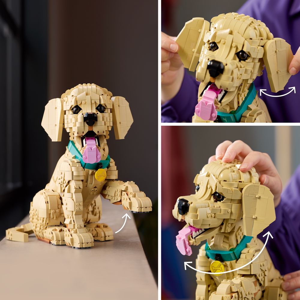 Golden Retriever Puppy LEGO 11384