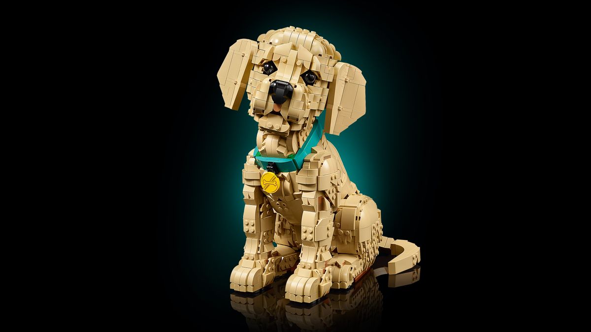 Golden Retriever Puppy LEGO 11384