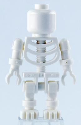 Skeleton - Plain Head LEGO gen103 | Fyrebrick.be